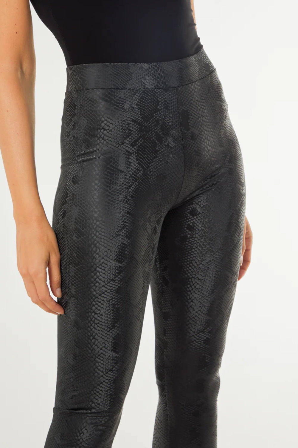 Black Snake Print Leather Look Leggings by Aftershock London